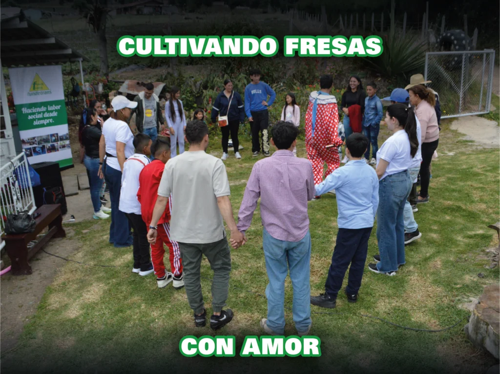 Fresas san jorge 2026-03