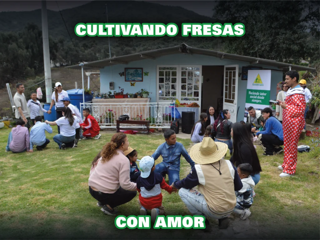 Fresas san jorge 2026-05