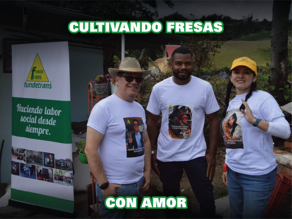 Fresas san jorge 2026-09
