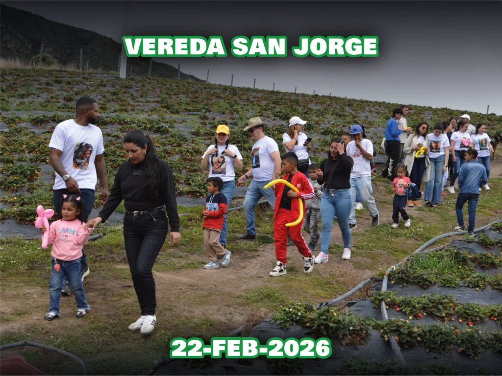Fresas san jorge 2026-10